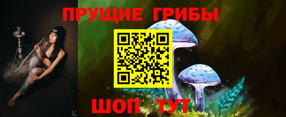 где купить наркоту  Заводоуковск  Псилоцибиновые грибы Magic Shrooms 